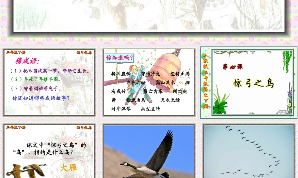 惊弓之鸟课件 