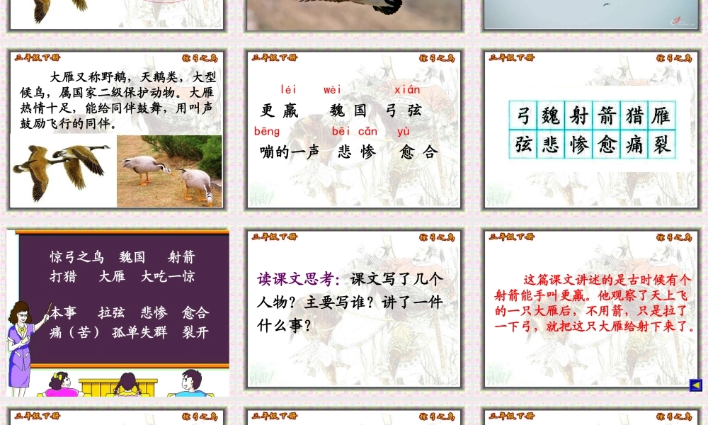 惊弓之鸟课件 
