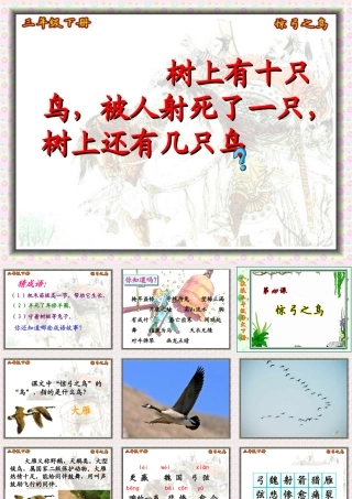 惊弓之鸟课件 