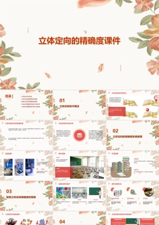 立体定向的精确度课件