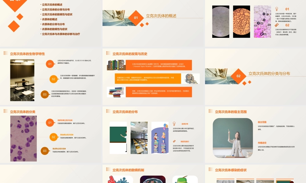 立克次氏体与衣原体课件