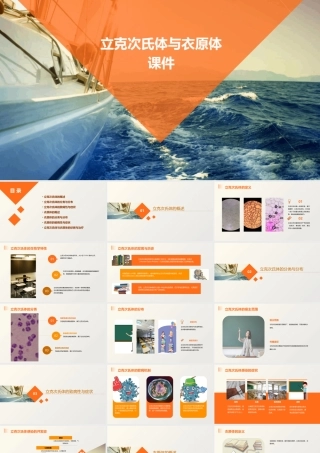 立克次氏体与衣原体课件