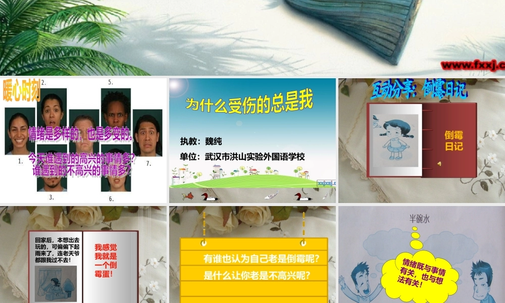 新为什么受伤的总是我魏纯