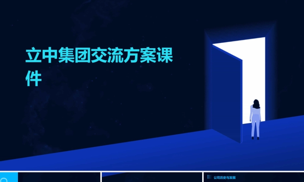 立中集团交流方案课件