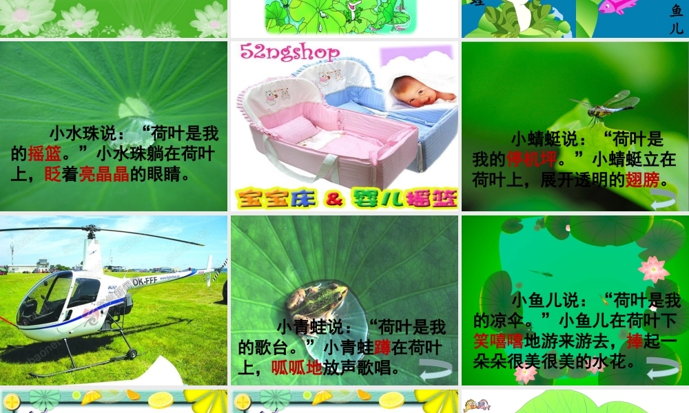 荷叶圆圆第1课时