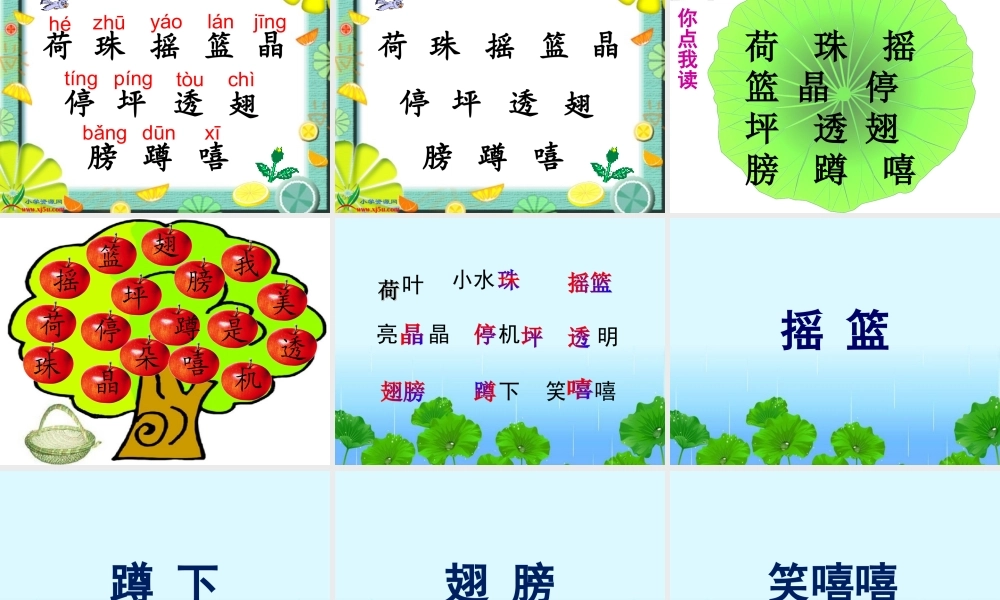 荷叶圆圆第1课时