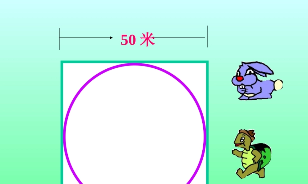 圆的周长课件 (2)
