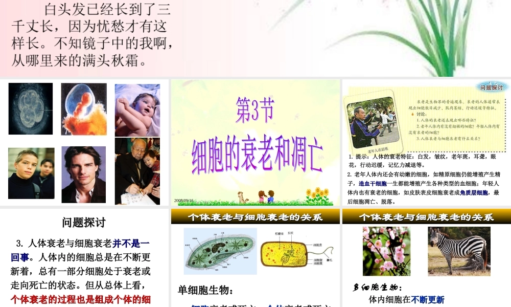 人教版必修一第六章第三节细胞的衰老和凋亡（共32张PPT）