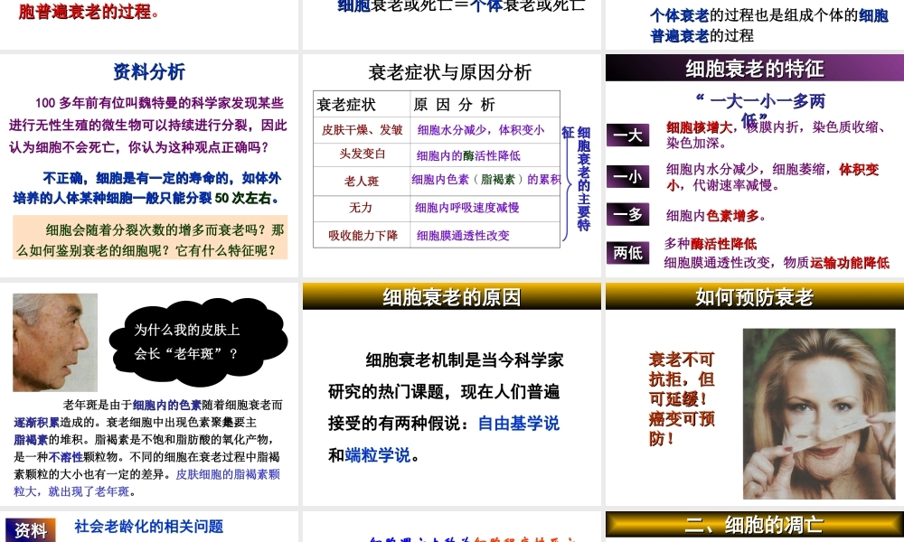 人教版必修一第六章第三节细胞的衰老和凋亡（共32张PPT）