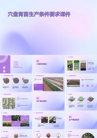 穴盘育苗生产条件要求课件