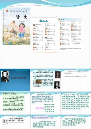 把我的心脏带回祖国 (2)