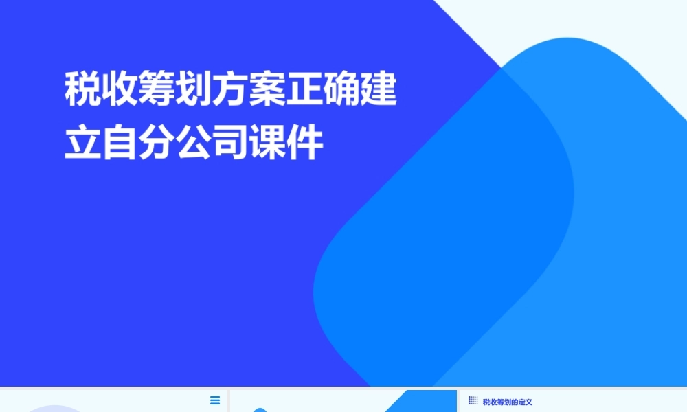 税收筹划方案正确建立自分公司课件