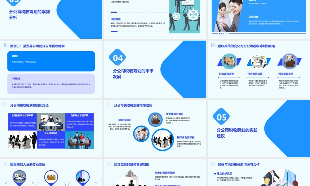 税收筹划方案正确建立自分公司课件