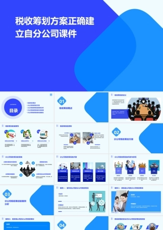 税收筹划方案正确建立自分公司课件