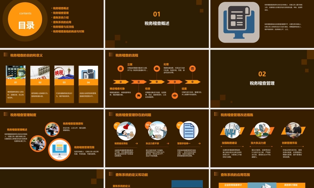 税务稽查管理及查账系统课件