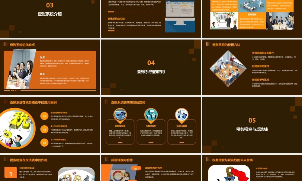 税务稽查管理及查账系统课件