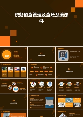 税务稽查管理及查账系统课件