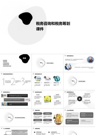 税务咨询和税务筹划课件