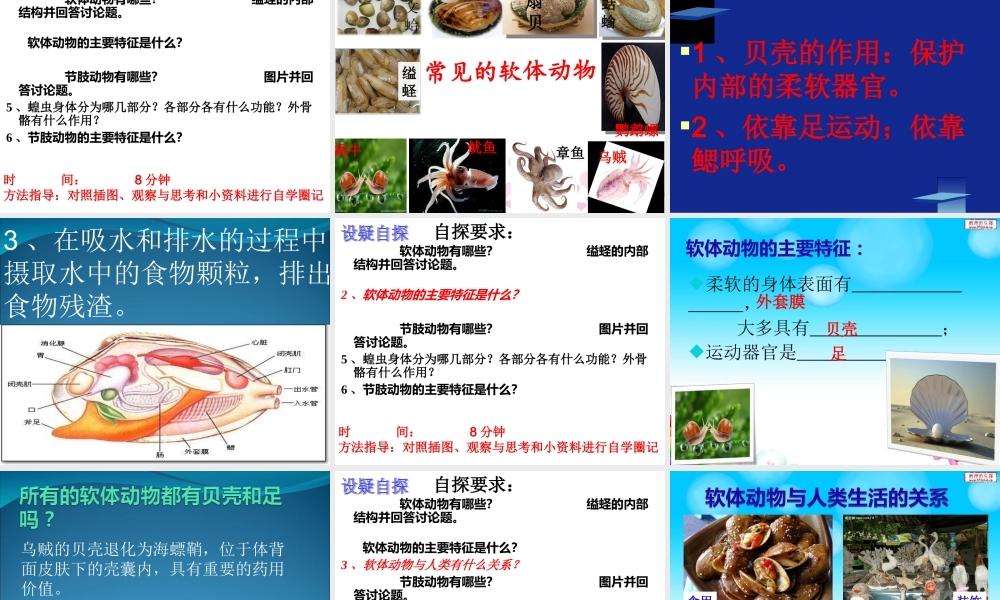 软体动物和节肢动物课件重阳一中孟岩