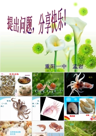 软体动物和节肢动物课件重阳一中孟岩