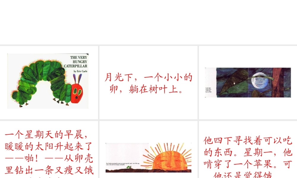 绘本《好饿的毛毛虫》