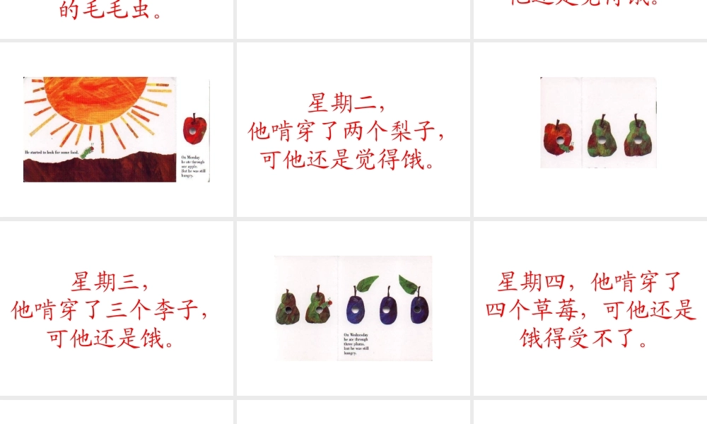 绘本《好饿的毛毛虫》