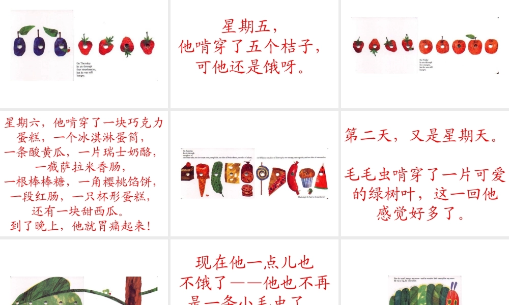 绘本《好饿的毛毛虫》