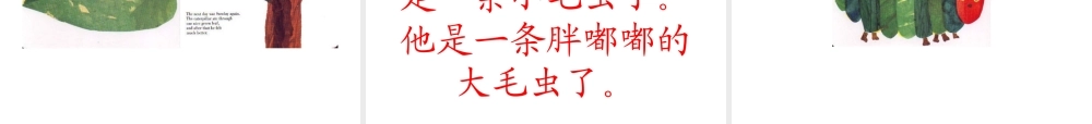 绘本《好饿的毛毛虫》