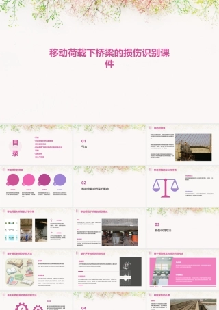 移动荷载下桥梁的损伤识别课件