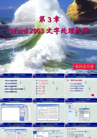 第3章Word2003文字处理软件