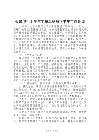 爱国卫生上半年工作总结与下半年工作计划