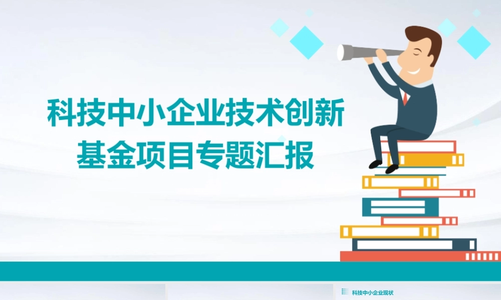 科技中小企业技术创新基金项目专题汇报课件