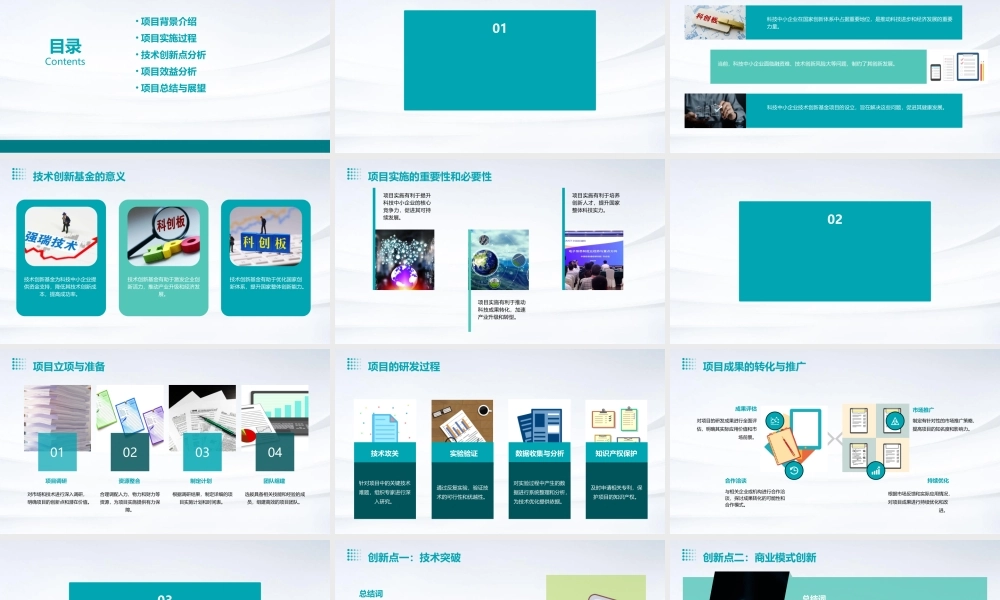 科技中小企业技术创新基金项目专题汇报课件