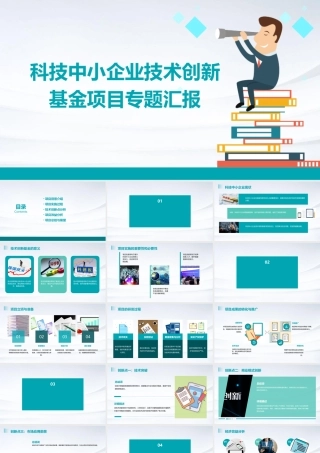 科技中小企业技术创新基金项目专题汇报课件