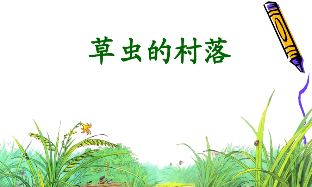 草虫的村落课件 