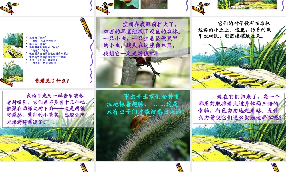 草虫的村落课件 