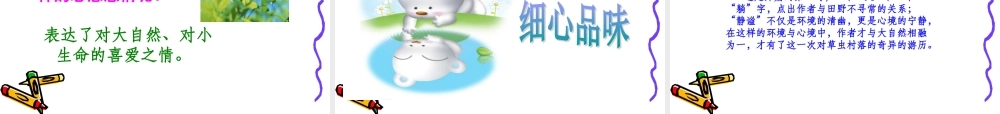 草虫的村落课件 