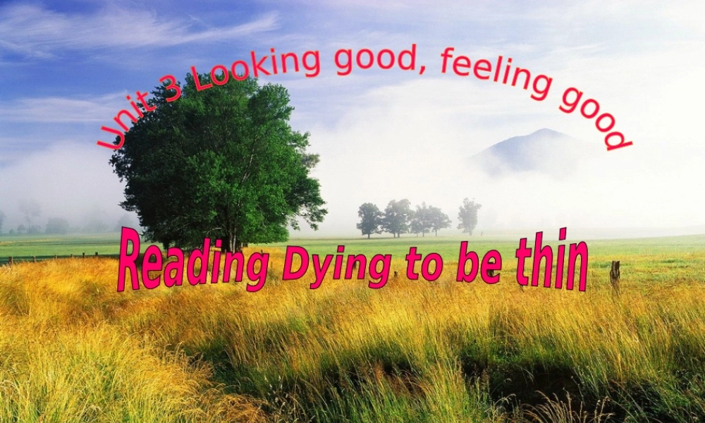 译林牛津版必修1_Unit+3+Looking+good,+feeling+good+reading（共29张PPT）