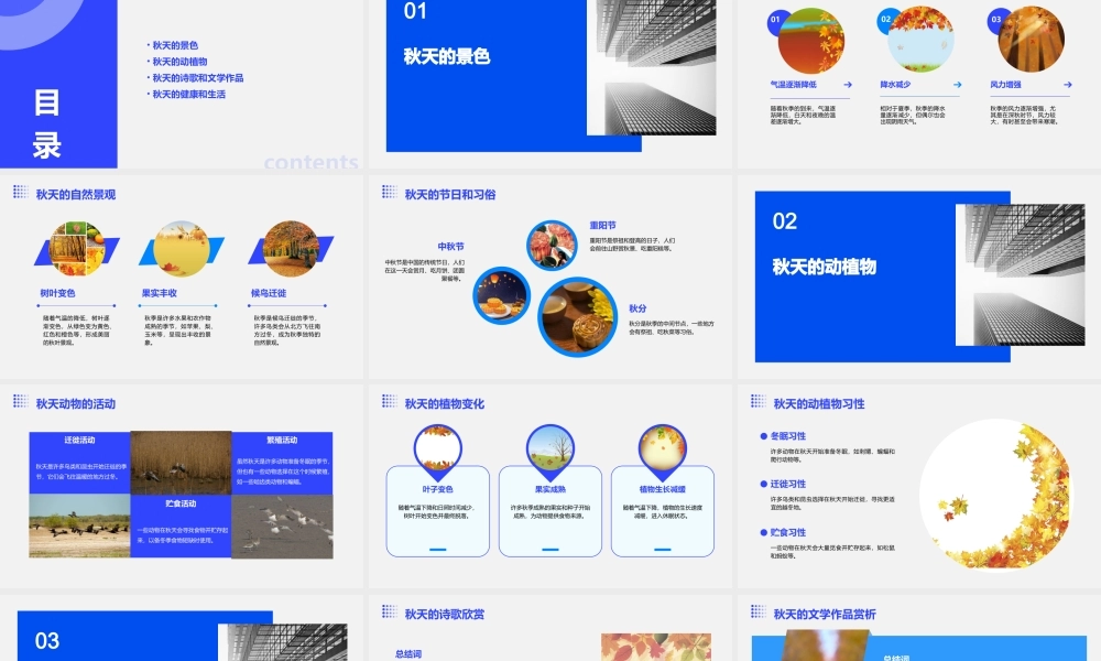 秋天(最新部编版)课件