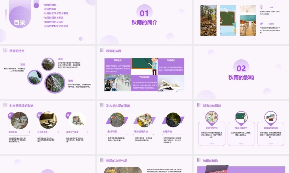 秋天的雨通用课件人教最新版
