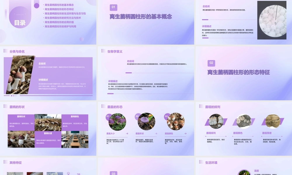 离生菌柄圆柱形课件