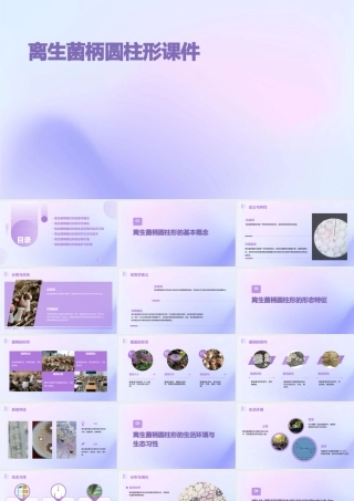 离生菌柄圆柱形课件