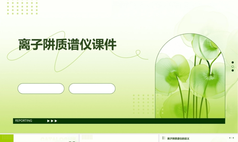 离子阱质谱仪等课件