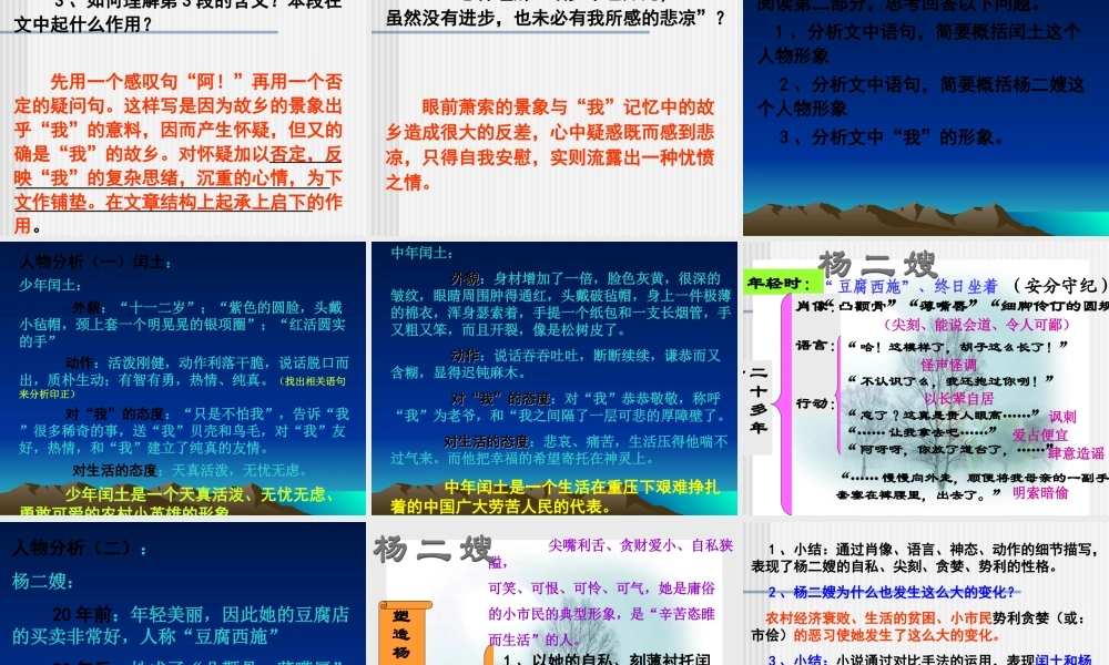 《故乡》课件 (3)