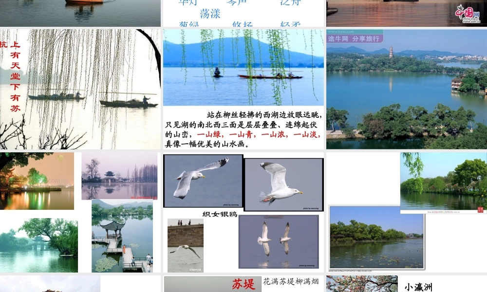 苏教版三上西湖