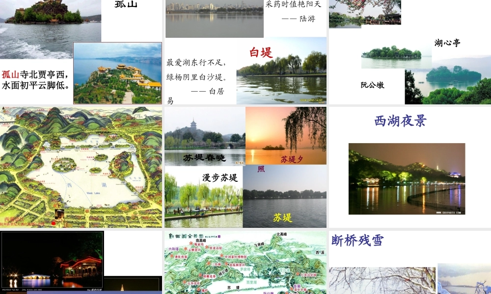 苏教版三上西湖