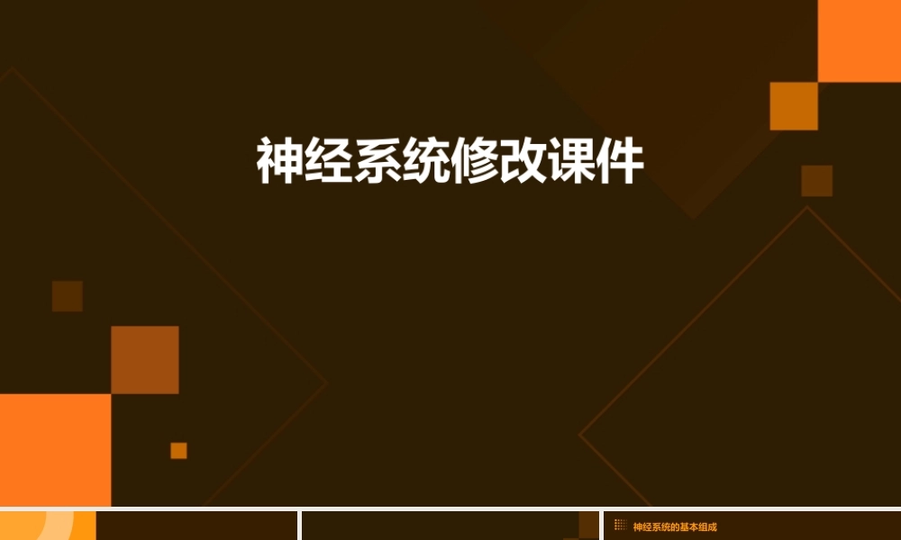 神经系统修改课件