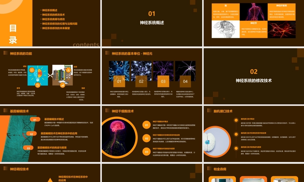 神经系统修改课件
