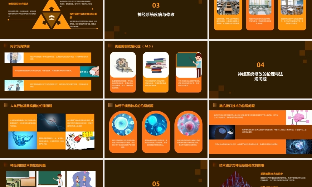 神经系统修改课件