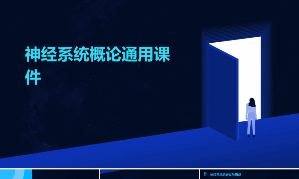 神经系统概论通用课件